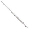 Trevor James Virtuoso Flute, Shaped Lip Plate