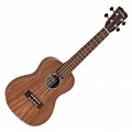 Cordoba 25C Concert Ukulele, Acacia