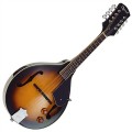 Ozark Electric Mandolin 'A' Model