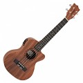 Tanglewood TWT 17 E Tiare Tenor Size Electro Ukulele