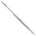 Yamaha YFL677H Professional Handmade Flute, B Foot