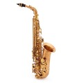 Yanagisawa AWO20U Alto Saxophone, Unlacquered Bronze