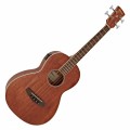 Ibanez PNB14E Electro Acoustic, Open Pore Natural