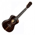 Ortega Elite Series Electro-Acoustic Concert Ukulele, Natural