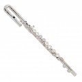 Pearl PFA-201ESU Alto Flute with Curved & Straight Headjoints